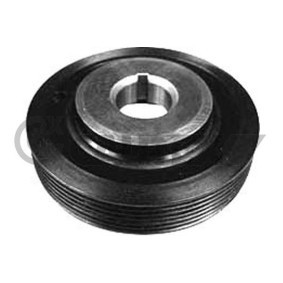 Acquista Puleggia cinghia albero a gomiti da CAUTEX 030912 a buon mercato per soli 79,35 €