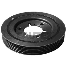 Acquista Puleggia cinghia albero a gomiti da CAUTEX 030934 a buon mercato per soli 78,40 €