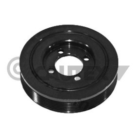 Acquista Puleggia cinghia albero a gomiti da CAUTEX 030939 a buon mercato per soli 109,00 €