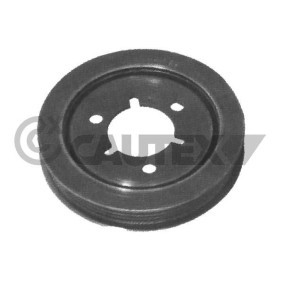 Acquista Puleggia cinghia albero a gomiti da CAUTEX 030963 a buon mercato per soli 79,35 €