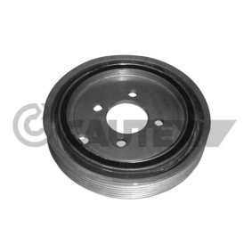 Acquista Puleggia cinghia albero a gomiti da CAUTEX 030964 a buon mercato per soli 113,76 €