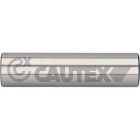 Lagerung, Achsstrebe 031265 von CAUTEX günstig für 93,72 € online kaufen