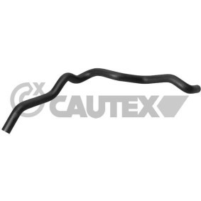 Acquista Flessibile radiatore da CAUTEX 031325 a buon mercato per soli 22,80 €