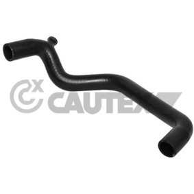 Acquista Flessibile radiatore da CAUTEX 031345 a buon mercato per soli 30,83 €