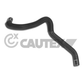 Acquista Flessibile radiatore da CAUTEX 031348 a buon mercato per soli 10,45 €