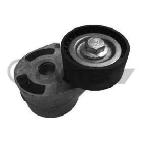 Compre Rolo tensor, correia trapezoidal estriada da CAUTEX 031389 a um preço baixo por 80,15 €