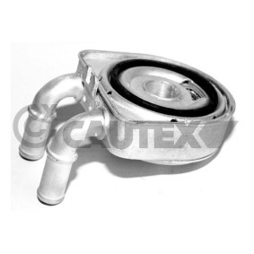 Acquista Radiatore olio motore da CAUTEX 031435 a buon mercato per soli 203,63 €