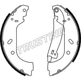 Bremsbackensatz von TRUSTING