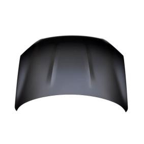 Motorhaube 035-28-100