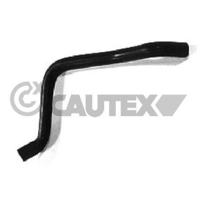 Compre Tubo de engrase del turbo de CAUTEX online para C15 Furgonetan (VD) a precios moderados