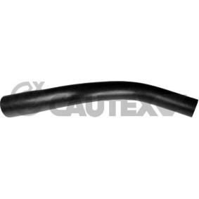 Comprar Tubo flexible para aceite de CAUTEX 036069 a bajo precio de 21,46 €