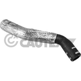 Achetez des Tuyau d'huile CAUTEX 036712 à prix pour 22,10 €