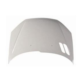 Motorhaube 038-06-100