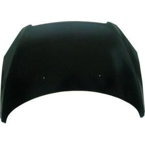 Motorhaube 038-10-100
