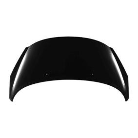Motorhaube 038-20-100