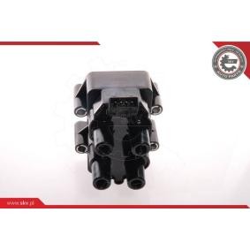Achetez des Bobine d'allumage ESEN SKV 03SKV061 à prix pour 43,11 €