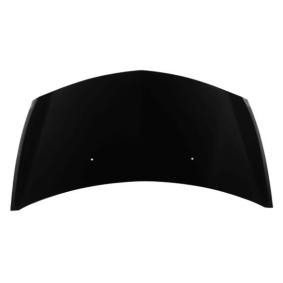 Motorhaube 042-33-100