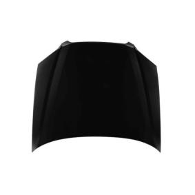 Motorhaube 049-09-100