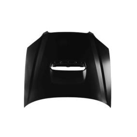 Motorhaube 049-15-100