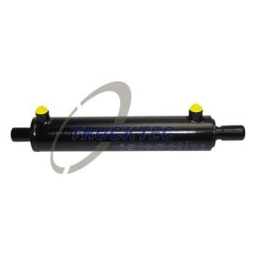 Køb Sidemarkeringslys af TRUCKTEC AUTOMOTIVE 05.58.002 til den lave pris 117,29 DKK