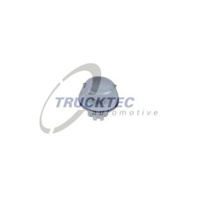 Køb Blinklys af TRUCKTEC AUTOMOTIVE 05.58.078 til den lave pris 122,36 DKK