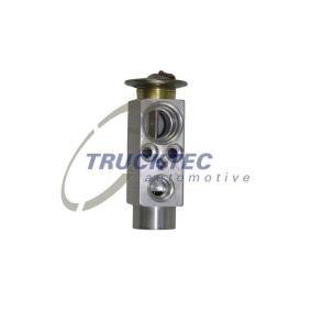 Compre Válvula de expansão, ar condicionado da TRUCKTEC AUTOMOTIVE 05.59.011 a um preço baixo por 25,71 €