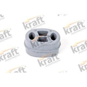 Halter, Abgasanlage 0501540