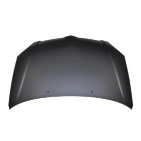 Motorhaube 051-09-105