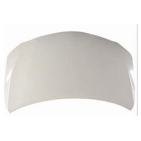 Motorhaube 051-10-100