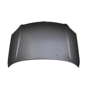 Motorhaube 051-23-100