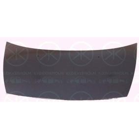 Motorhaube 0519280A1