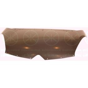 Motorhaube 0538280