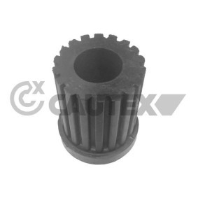 Blattfeder des Herstellers CAUTEX - Originalware Artikelnummer: 060032