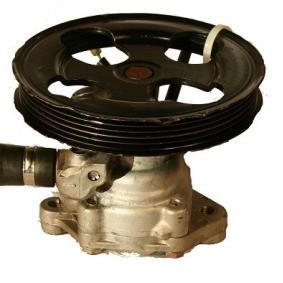 Servopumpe von SERCORE 07B1009