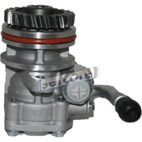 Acquista Pompa idraulica, sterzo da SERCORE 07B1024 a buon mercato per soli 196,49 €