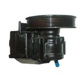 Servopumpe 07B469A für VOLVO