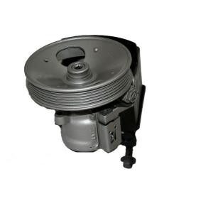 Servopumpe 07B569A für VOLVO