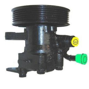 Servopumpe 07B728