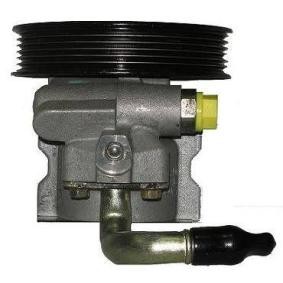 Acquista Pompa idraulica, sterzo da SERCORE 07B933 a buon mercato per soli 158,91 €
