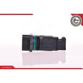Luftmassenmesser (LMM) 07SKV101