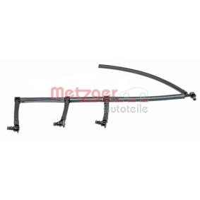 Achetez des Rampe d'injection de chez METZGER en ligne pour Megane II Camionnette/Break (KM_) à prix modérés