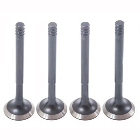 Compre Válvula de escape de MASTER-SPORT online para SAMARA (2108, 2109, 2115, 2113, 2114) a precios moderados