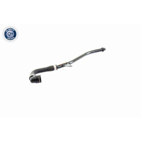 Dichtungssatz, Ventilschaft V30-0570 von VAICO günstig für 23,84 € online kaufen