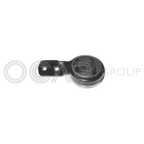 BMW Querlenker Satz von OCAP