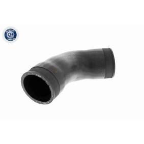 Fensterheber V10-6282 von VAICO günstig für 70,51 € online kaufen
