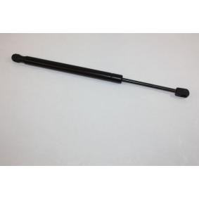 Heckklappendämpfer 100004810