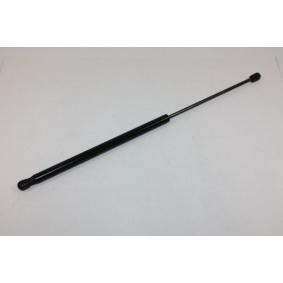 Heckklappendämpfer 100016810