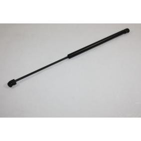 Achetez des Vérin de capot AUTOMEGA 100041010 à prix pour 16,29 €