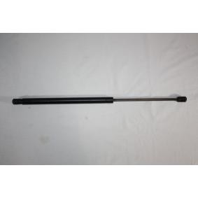 Heckklappendämpfer 100097910