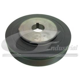 Acquista Puleggia cinghia albero a gomiti da 3RG 10205 a buon mercato per soli 64,14 €